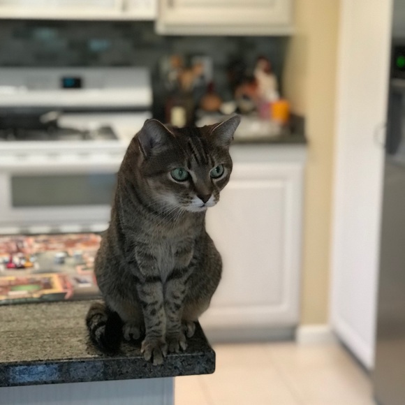 Meet your Posher, Jeanne π - Picture 8 of 8